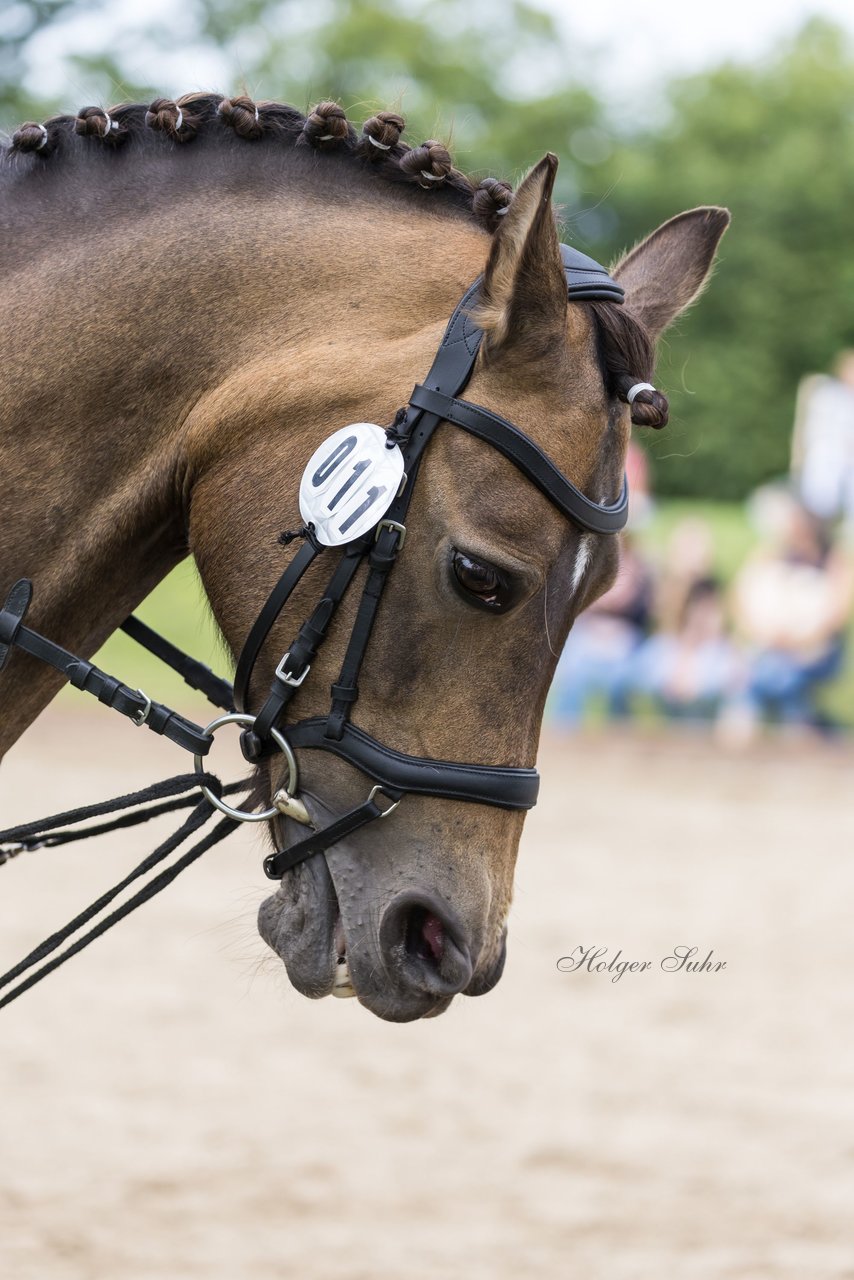 Bild 25 - Pony Akademie Turnier